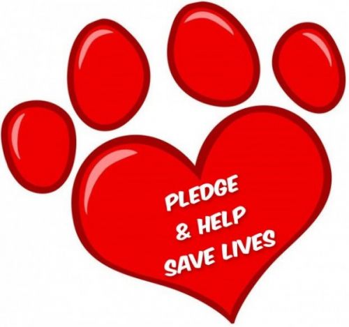 Pledge & Help Rescues Save Lives!